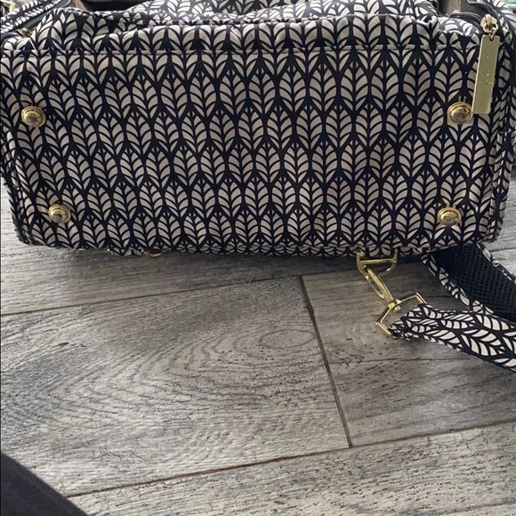 Jujube - Picture 6 of 7